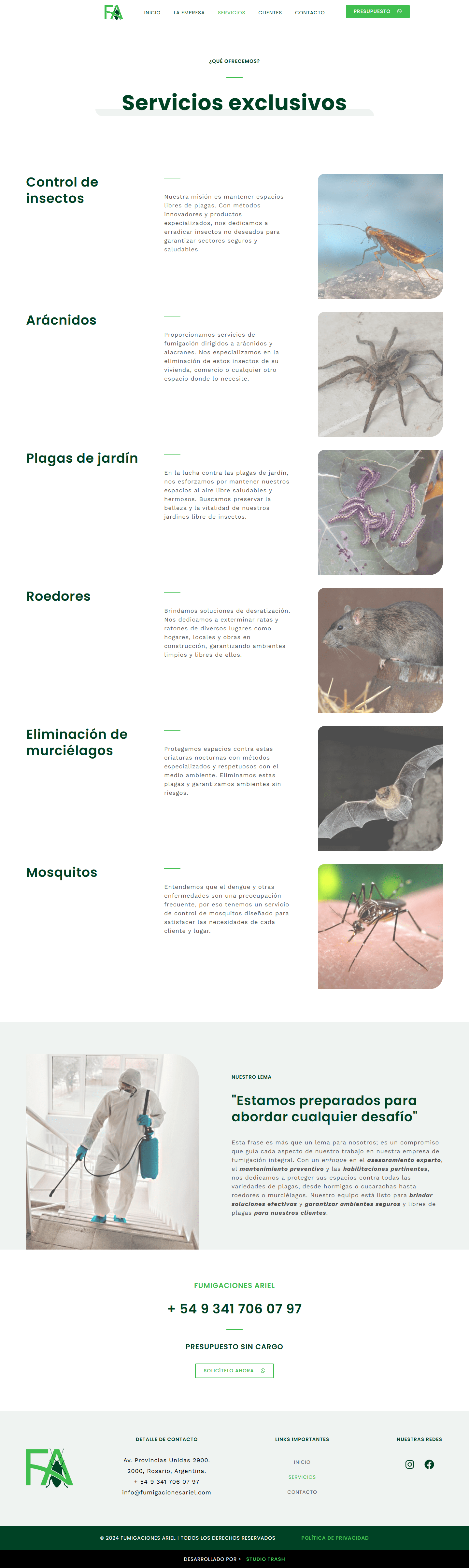 Diseño y Desarrollo Web